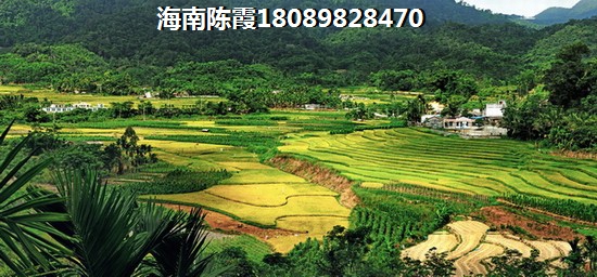 澄迈老城商业广场二手房