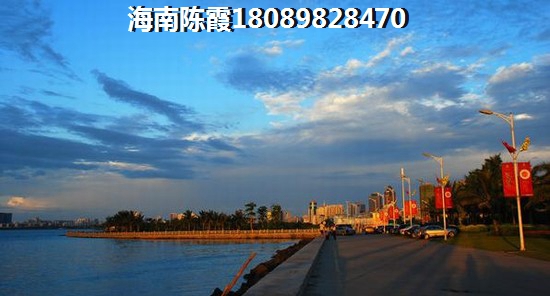 法国维希小镇交房流程