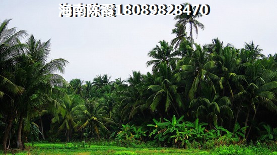 澄迈盈滨半岛适合居住吗1